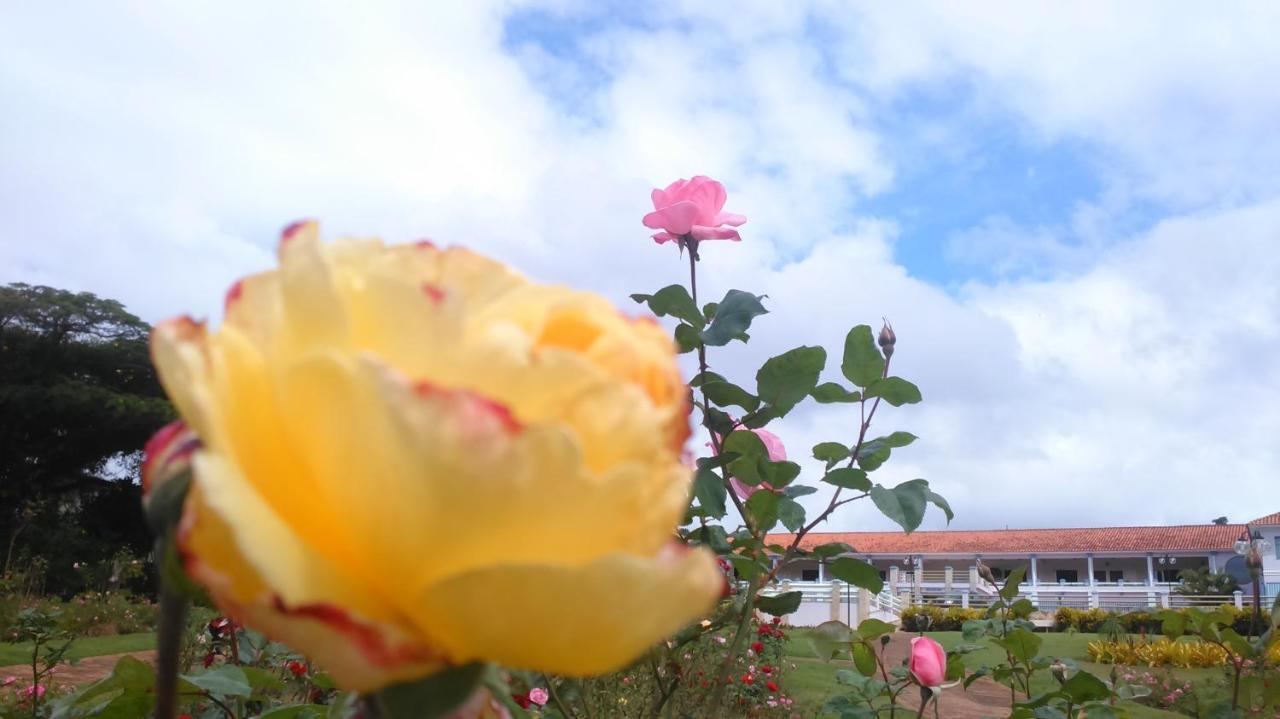 Hotel Fazenda Retiro Das Rosas Ouro Preto  Exterior photo